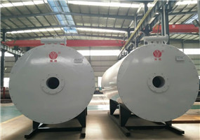 YY(Q)W型燃油氣導(dǎo)熱油爐